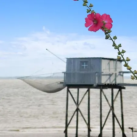 Maison De 6 Chambres A Saint Fort Sur Gironde Avec Jardin Amenage Et Wifi A 20 Km De La Plage *